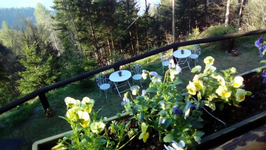 Abetina Apartamento Levico Terme Exterior foto