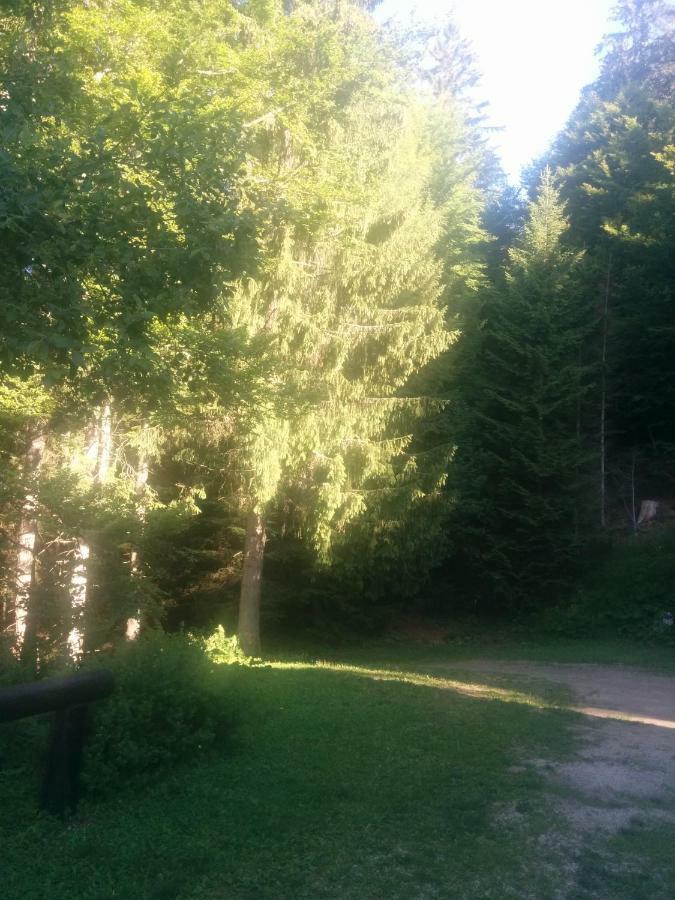 Abetina Apartamento Levico Terme Exterior foto